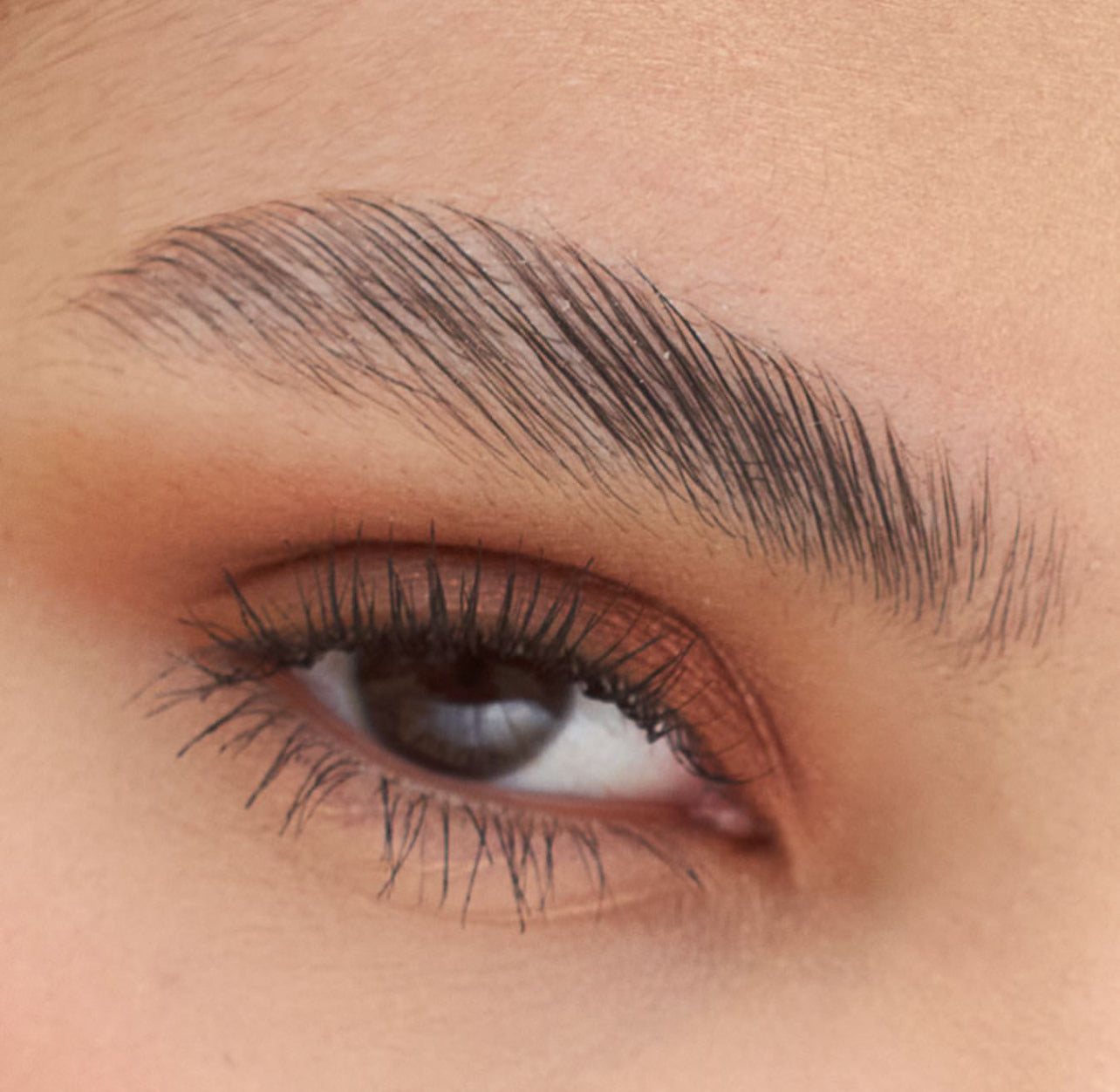 Fijador de Cejas